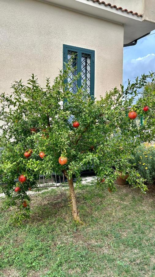 Bed and Breakfast Il Melograno Guidonia Esterno foto