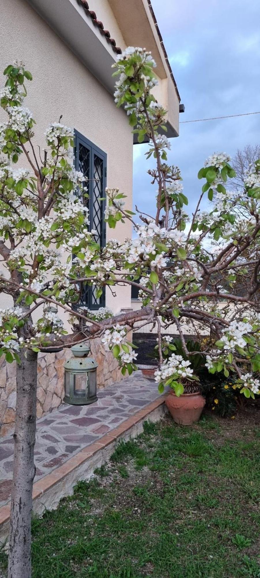 Bed and Breakfast Il Melograno Guidonia Esterno foto
