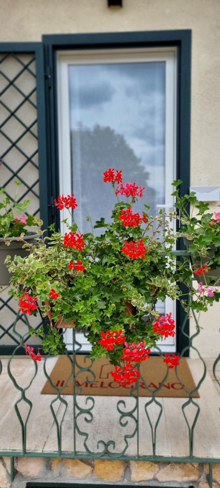 Bed and Breakfast Il Melograno Guidonia Esterno foto