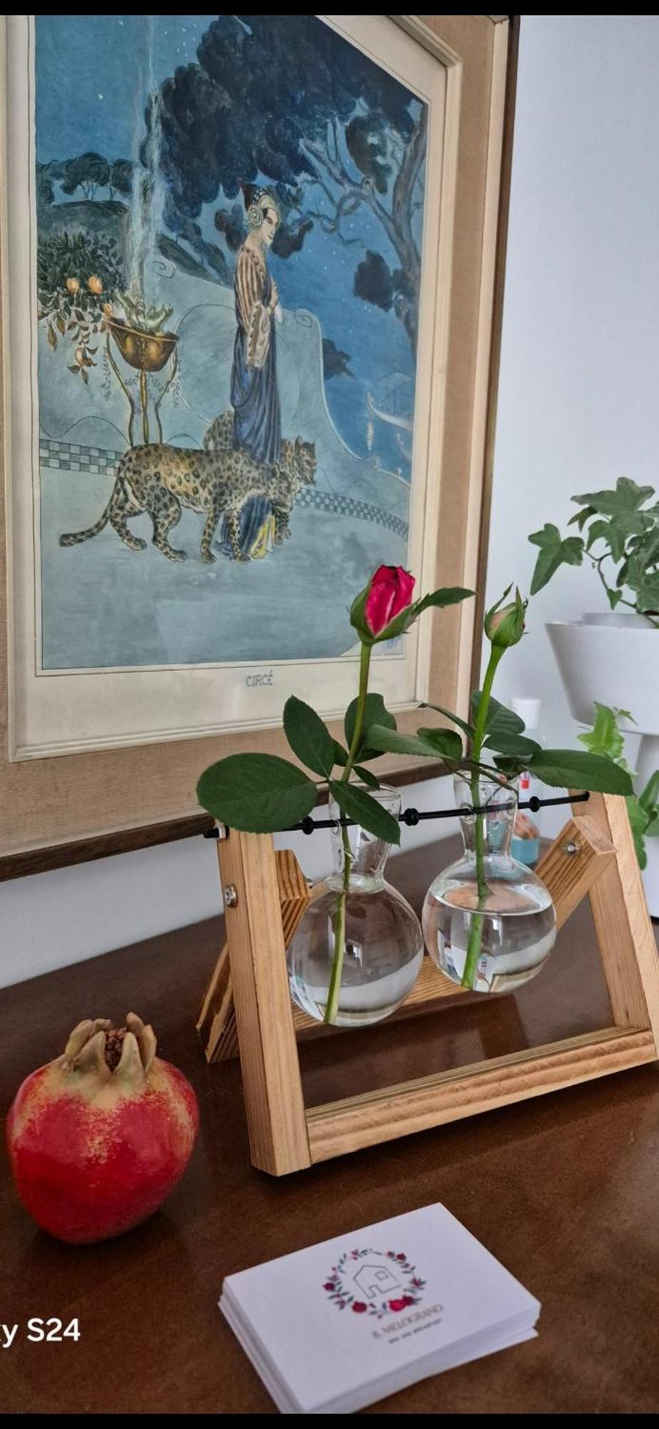 Bed and Breakfast Il Melograno Guidonia Esterno foto